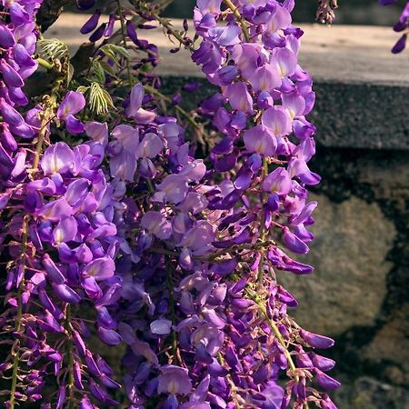Il Glicine B&B Ristorante Cazzago San Martino Eksteriør bilde