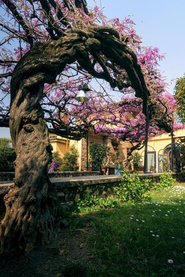 Il Glicine B&B Ristorante Cazzago San Martino Eksteriør bilde