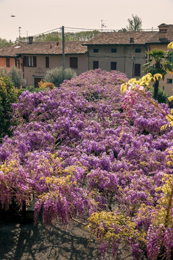Il Glicine B&B Ristorante Cazzago San Martino Eksteriør bilde