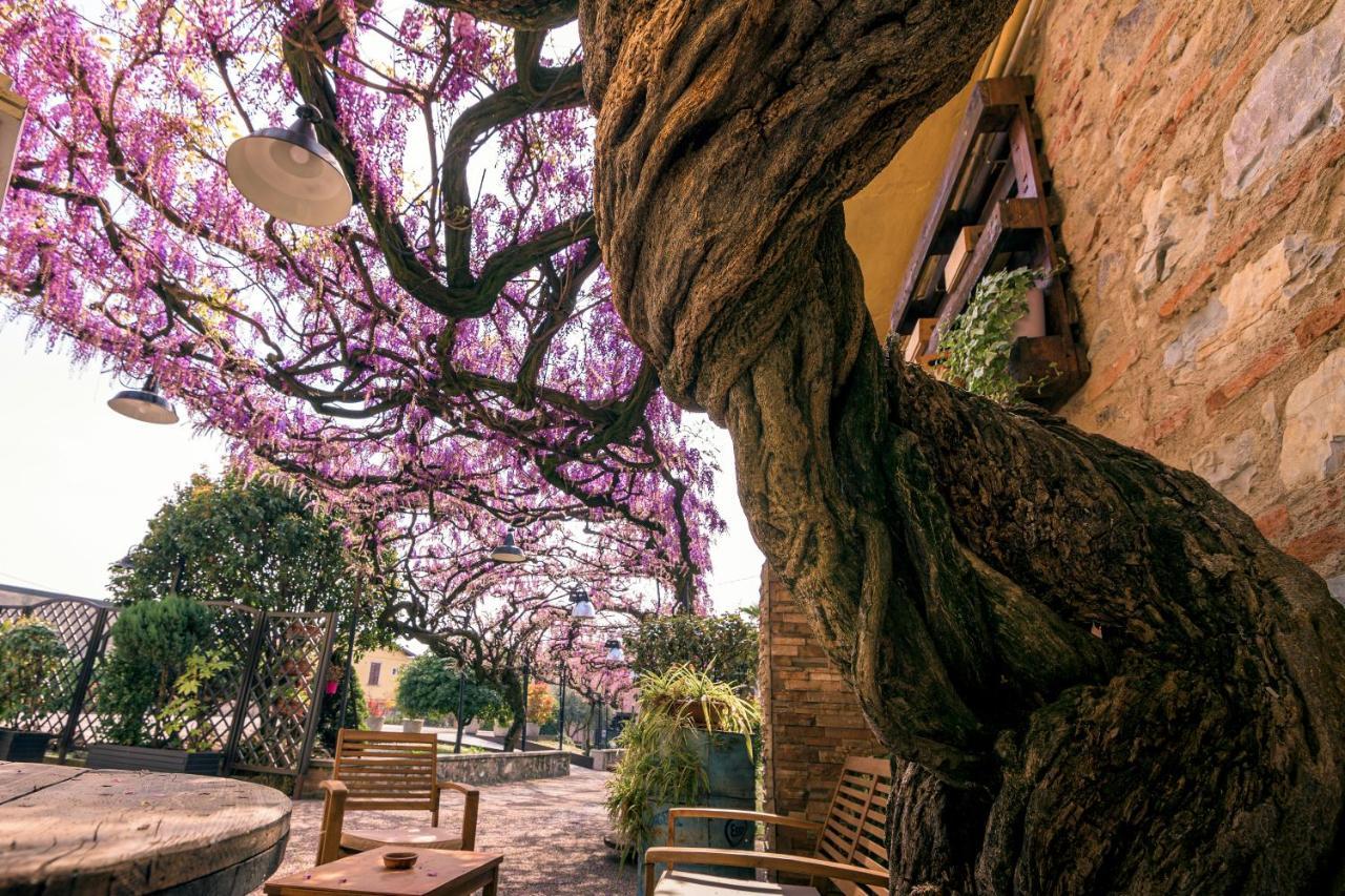 Il Glicine B&B Ristorante Cazzago San Martino Eksteriør bilde